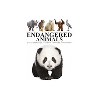 Amber Books Ltd Endangered Animals (häftad, eng)