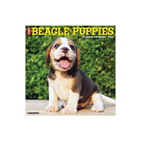 Willow Creek Press Beagle Puppies 2027 Wall (häftad, eng)