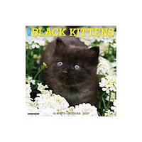 Willow Creek Press Black Kittens 2027 Wall (häftad, eng)