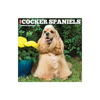 Willow Creek Press Cocker Spaniels 2027 Wall (häftad, eng)