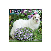 Willow Creek Press Great Pyrenees 2027 Wall (häftad, eng)