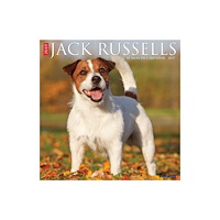 Willow Creek Press Jack Russells 2027 Wall (häftad, eng)