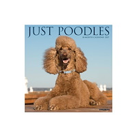 Willow Creek Press Poodles 2027 Wall (häftad, eng)