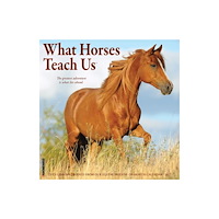 Willow Creek Press What Horses Teach Us 2027 Wall (häftad, eng)