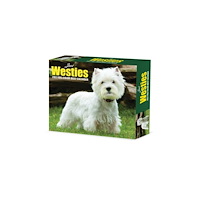 Willow Creek Press Westies 2027 Box (häftad, eng)