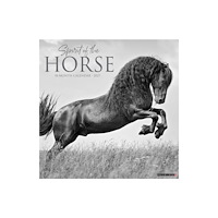 Willow Creek Press Spirit of the Horse 2027 Wall (häftad, eng)
