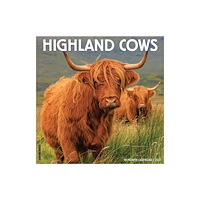 Willow Creek Press Highland Cows 2027 Wall (häftad, eng)
