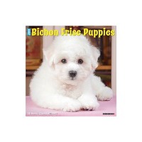 Willow Creek Press Bichon Frise Puppies 2027 Wall (häftad, eng)