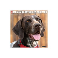 Willow Creek Press German Shorthaired Pointers 2027 Wall (häftad, eng)