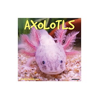 Willow Creek Press Axolotls 2027 Wall (häftad, eng)