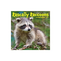 Willow Creek Press Rascally Raccoons 2027 Wall (häftad, eng)