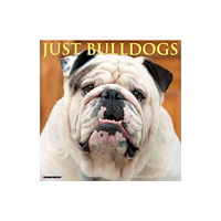 Willow Creek Press Bulldogs 2027 Wall (häftad, eng)