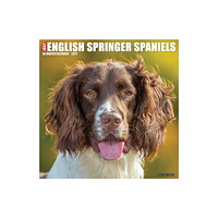Willow Creek Press English Springer Spaniels 2027 Wall (häftad, eng)