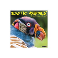 Willow Creek Press Exotic Animals 2027 Wall (häftad, eng)