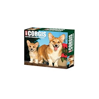 Willow Creek Press Corgis 2027 Box (häftad, eng)