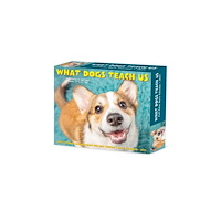 Willow Creek Press What Dogs Teach Us 2027 Box (häftad, eng)