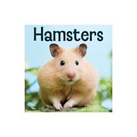 Willow Creek Press Hamsters 2027 Wall (häftad, eng)