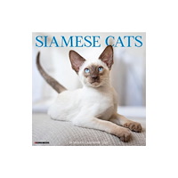 Willow Creek Press Siamese Cats 2027 Wall (häftad, eng)