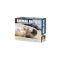 Willow Creek Press Animal Antics 2027 Box (häftad, eng)