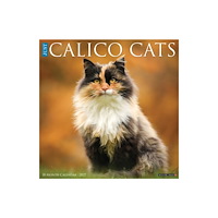 Willow Creek Press Calico Cats 2027 Wall (häftad, eng)