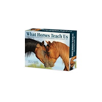Willow Creek Press What Horses Teach Us 2027 Box (häftad, eng)