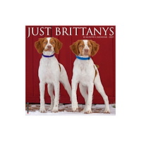Willow Creek Press Brittanys 2027 Wall (häftad, eng)