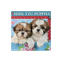 Willow Creek Press Shih Tzu Puppies 2027 Wall (häftad, eng)