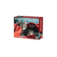 Willow Creek Press What Cats Teach Us 2027 Box (häftad, eng)