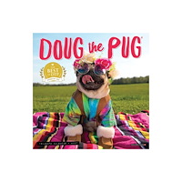 Willow Creek Press Doug the Pug Mini (häftad, eng)