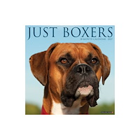 Willow Creek Press Boxers 2027 Wall (häftad, eng)