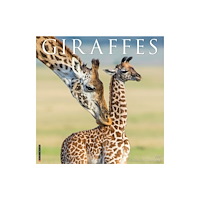 Willow Creek Press Giraffes 2027 Wall (häftad, eng)
