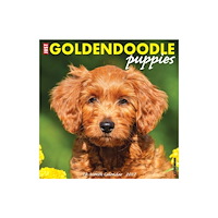 Willow Creek Press Goldendoodle Puppies 2027 Wall (häftad, eng)