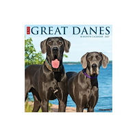 Willow Creek Press Great Danes 2027 Wall (häftad, eng)