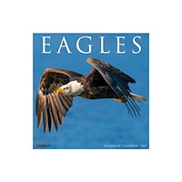Willow Creek Press Eagles 2027 Wall (häftad, eng)