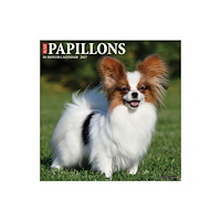 Willow Creek Press Papillons 2027 Wall (häftad, eng)