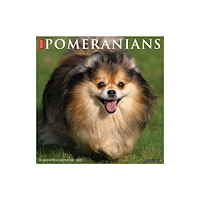 Willow Creek Press Pomeranians 2027 Wall (häftad, eng)