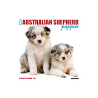 Willow Creek Press Australian Shepherd Puppies 2027 Wall (häftad, eng)