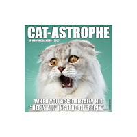 Willow Creek Press Cat-astrophe 2027 Wall (häftad, eng)