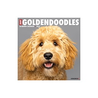 Willow Creek Press Goldendoodles 2027 Wall (häftad, eng)