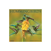 Willow Creek Press Hummingbirds 2027 Wall (häftad, eng)