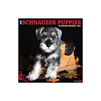 Willow Creek Press Schnauzer Puppies 2027 Wall (häftad, eng)