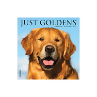 Willow Creek Press Goldens 2027 Mini (häftad, eng)