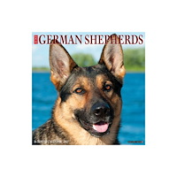 Willow Creek Press German Shepherds 2027 Wall (häftad, eng)