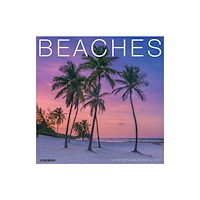 Willow Creek Press Beaches 2027 Wall (häftad, eng)