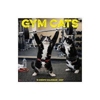 Willow Creek Press Gym Cats 2027 Wall (häftad, eng)