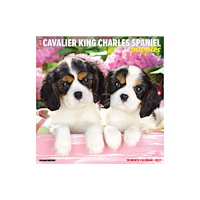 Willow Creek Press Cavalier King Charles Spaniel Puppies 2027 Wall (häftad, eng)