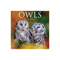 Willow Creek Press Owls of North America 2027 Wall (häftad, eng)