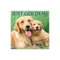 Willow Creek Press Goldens 2027 Wall (häftad, eng)