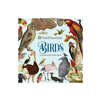 Andrews McMeel Publishing Birds: A Smithsonian Sticker Book (häftad, eng)