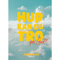 Sören Dalevi Hur kan du tro - på Gud? (häftad)